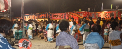 08_sag fire works_06